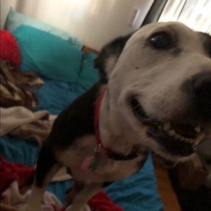 Meet your Posher, Seterra